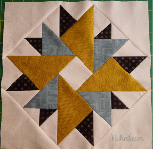 Double Aster/Modern Star  Block Size: 12.5" unfinished